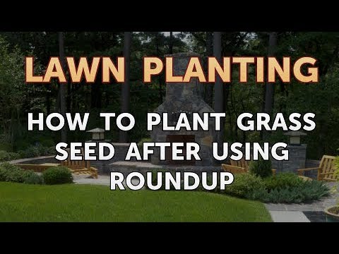 How to Plant Grass Seed After Using Roundup