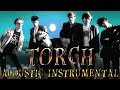 Psychedelic Furs - Torch (Live Acoustic Instrumental Mix)