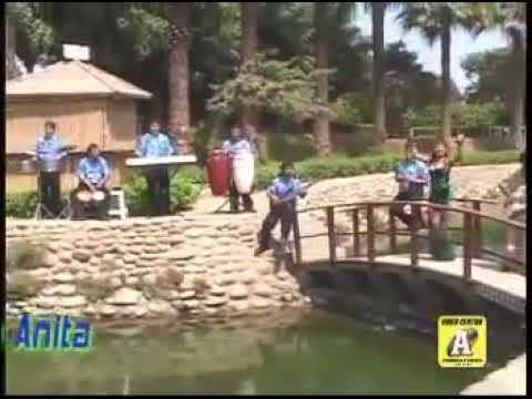 Para Anita - Grupo Melodia