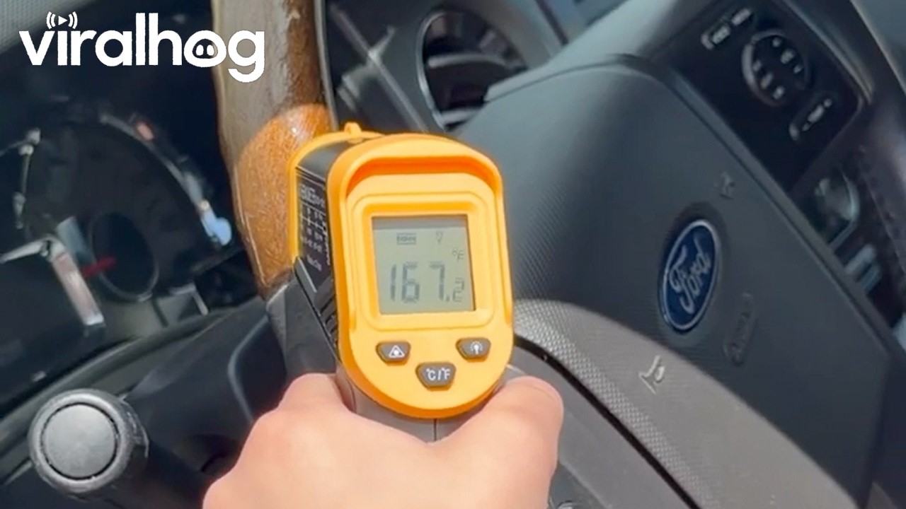 Colorado Family Discovers Surprising Temperatures During Heat Wave Experiment || ViralHog