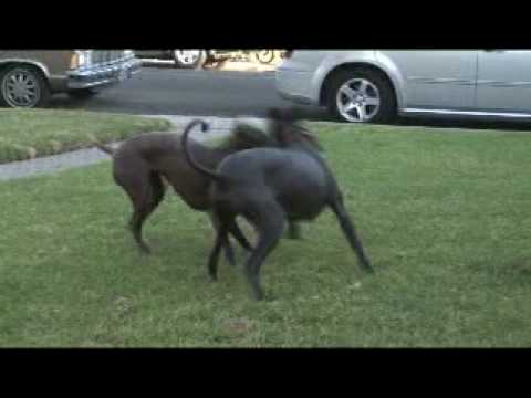 {$row[$i]['name'], ENT_QUOTES,'utf-8'); ?>