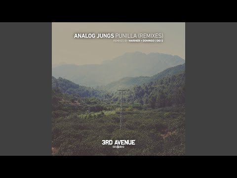 Punilla (Mariner + Domingo Remix)