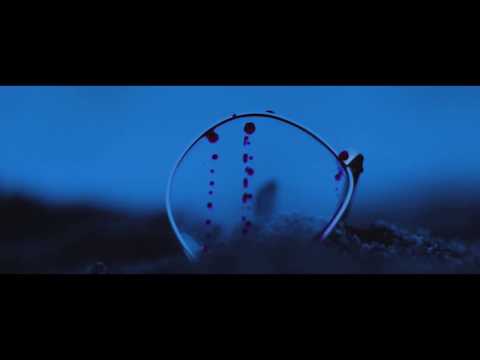 CYCRYPTIC ZYGOMORPHIC TEASER