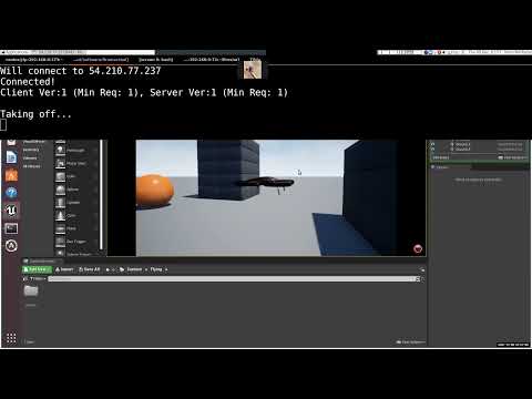 Airsim/RISC-V QEMU Co-simulation Demo