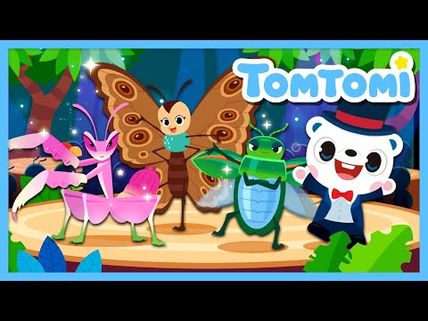The Spectacular Insects Song🦋 | The Queen Trio of the Insect World👸 | Actual images | TOMTOMI