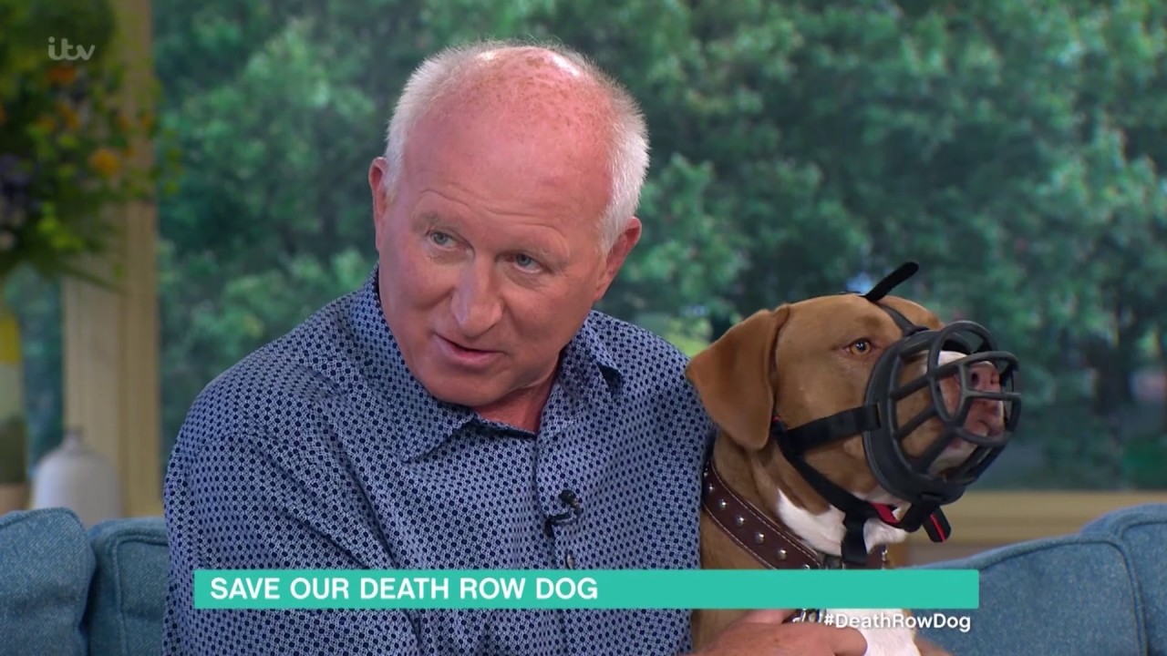 Watch video Save Our Death Row Dog | This Morning Now Save Our Death Row Dog | This Morning