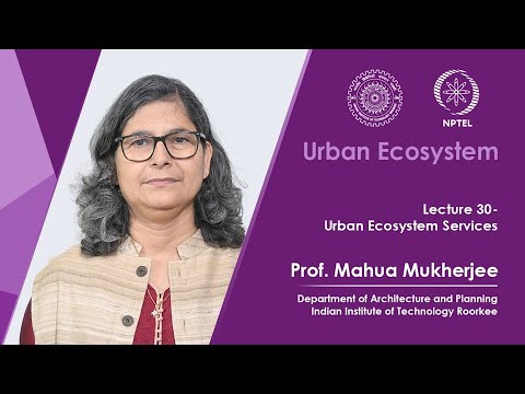 Lecture 30: Urban Ecosystem Services