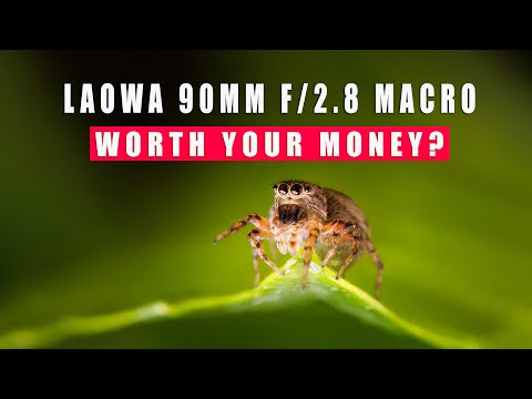 Video thumbnail for Video Review 3