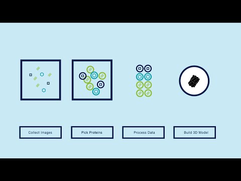 What is Cryo-Electron Microscopy (Cryo-EM)?