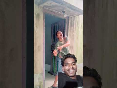 brajesh pyarelal #funny  #animals  #dog  😍😍