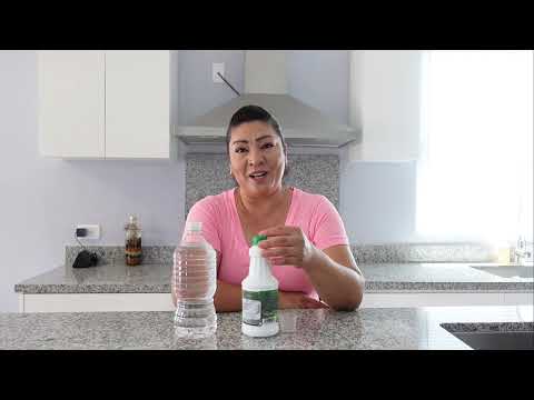 #145 Clorofila y sus beneficios importantes