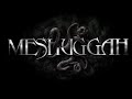 MESHUGGAH - ENTRAPMENT