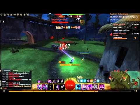 GW2 WvW bot cheat hack?