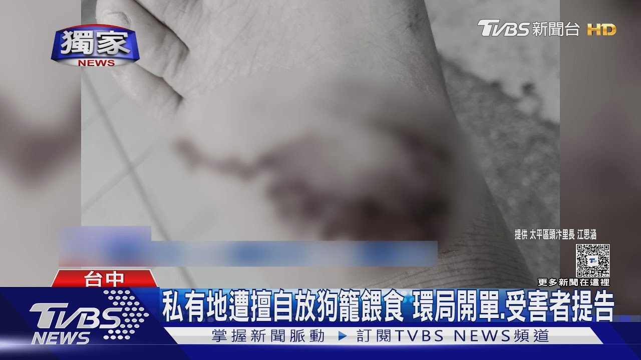 太平山區爆狗群「追車咬人害慘摔」調監視器究責