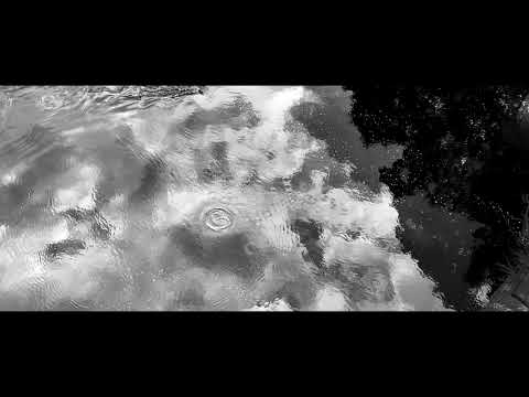 Digitonal - Sentences