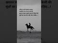 True Line In Hindi Motivational Quotes Inspiration Quotes Shayari Shorts Trending Quotes