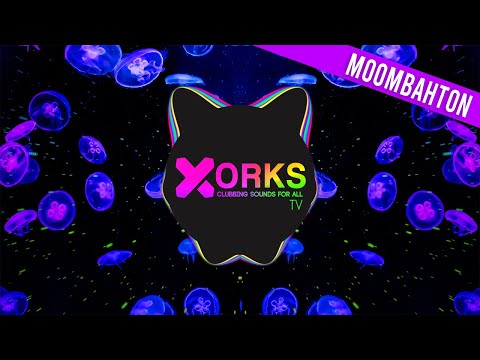 Menasa - Dal Bin Dal Me (Deny Sinto X Shairo Remix)