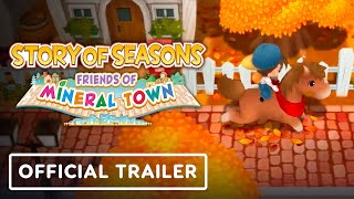 Story of Seasons: Friends of Mineral Town XBOX LIVE Key ARGENTINA