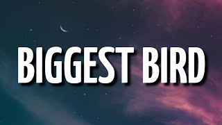 Trippie Redd – BIGGEST BIRD (Lyrics) Ft. Summrs
