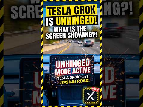 I asked Grok what your Tesla screen actually means