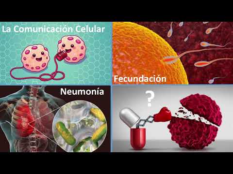 Toma de posesión como académico numerario de D. José Manuel García Fernández