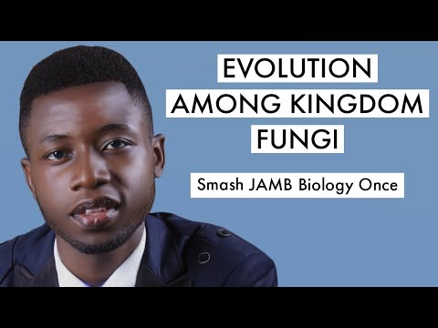 JAMB Biology CBT Tutorial 2026 Questions On Evolution Of Kingdom Fungi (Top 12)
