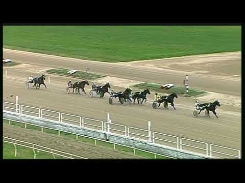 Trotto 13/11/2020 - 1ª prova di qualifica