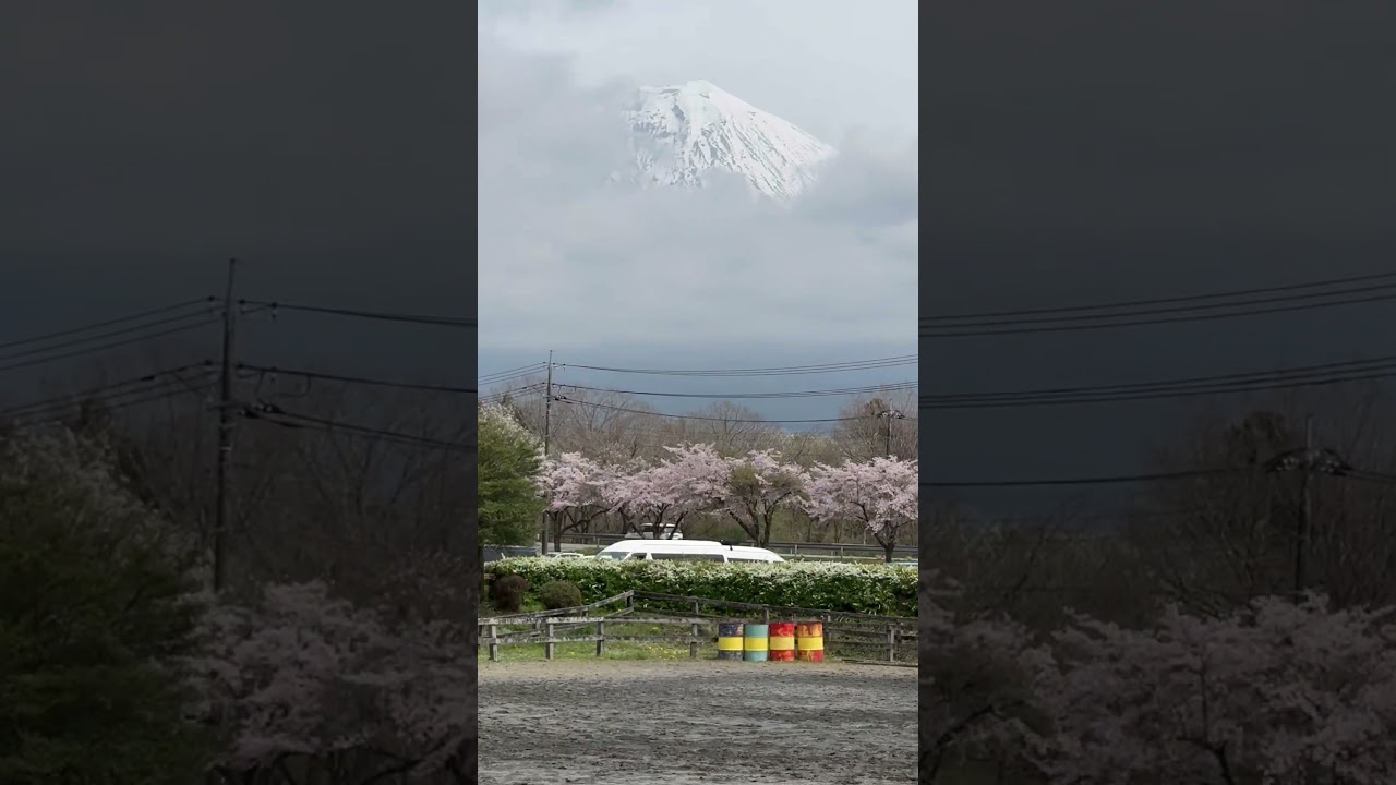Mount Fuji 🇯🇵 Today view #shorts #mountfuji #japan #youtubeshorts