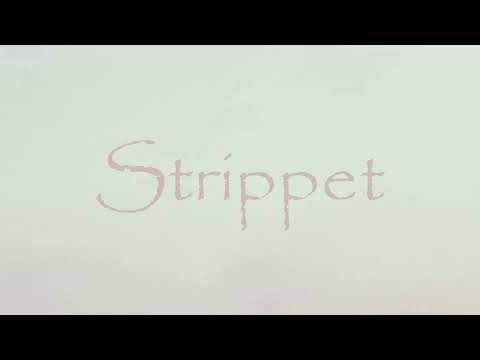 Strippet - Tyr x Oscar Blesson Type Beat (Norsk HipHop/Rap Type Beat)