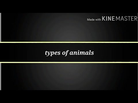 Types of animals 🐱🐈