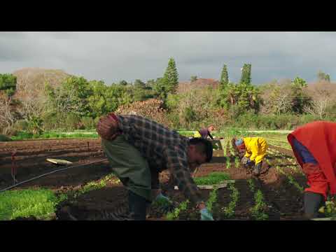 inspire 2 vs mavic air