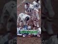 The Only NFL Player to Die on the Field