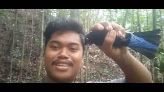 Download lagu Mikat cucak biru di hutan.. bukit barisan     Menggunakan jaring mp3