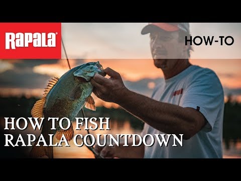 Rapala Countdown CD11 11cm 16g B