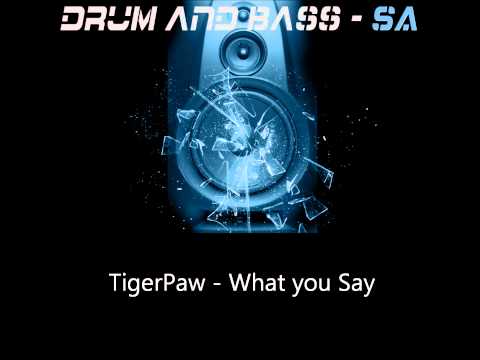 TigerPaw - What you Say.wmv