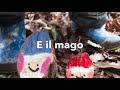 Il Mago Dell Inverno