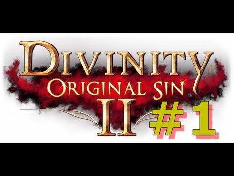 Divinity: Original Sin 2 - #1 The Journey Begins