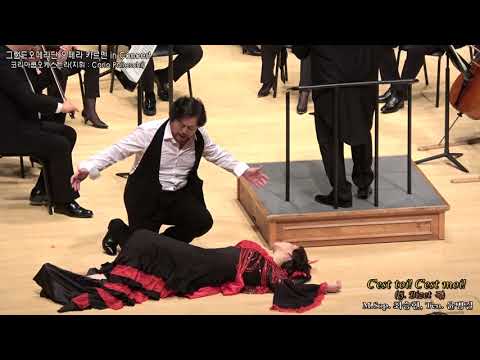 Bizet - Carmen, duetto finale