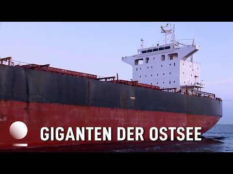 Gigantische Ozeanriesen erobern die Ostsee! | Alltag im Rostocker Hafen