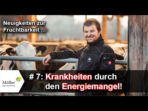 , title : 'Krankheiten der Kuh durch Energiemangel | Brunsterkennung + Fruchtbarkeit der Kuh #7 von 10'