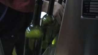 preview picture of video 'Wie kommt der Wein in die Flasche?'