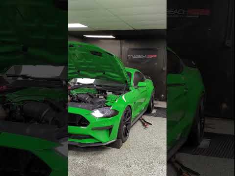 Whipple 2019 Mustang GT - How Much Horsepower?