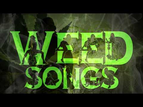 Weed Songs: T-Rock - Chief Chief Chief