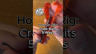 5 Ways to Rig a Craw Bait for Bass Fishing #fishing #fishingtips #bassfishing #howto