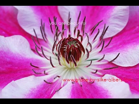 Wochenorakel vom 30.01. - 05.02.2017