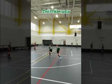 VIhdin Salisudet T12 tyttösäbä Energiaa