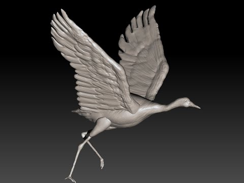 30 Minutes Zbrush Sculpting 118 Crane
