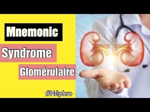 Mnemonic pour apprendre et comprendre le syndrôme glomérulaire