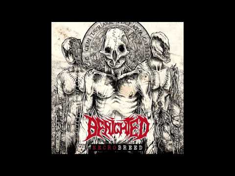 Benighted - Necrobreed FULL ALBUM (2017 - Brutal Death Metal / Grindcore)