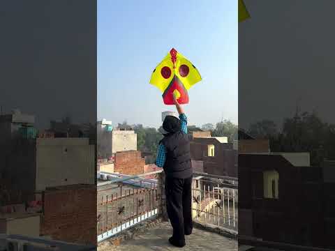 Lohri 2026 🪁 #patangbazi #2026 #kiteflying #kitefighting #kitefestival #patang #lohri #punjab